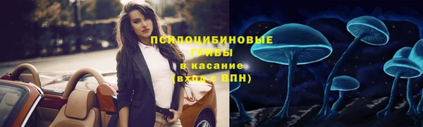дмт Белокуриха